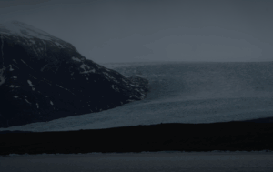 「アイスランドで蚊発見」のニュースを深掘りする