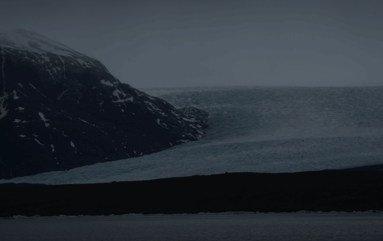 「アイスランドで蚊発見」のニュースを深掘りする