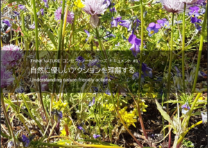 自然に優しいアクションを理解する[コンセプトノート#3]