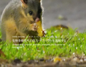 生物多様性への圧力・インパクトを理解する[コンセプトノート#2]