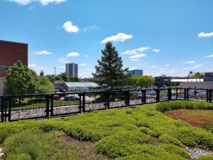 生物多様性を高めるまちづくりは可能か？ 