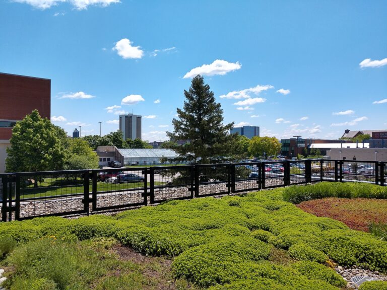 生物多様性を高めるまちづくりは可能か？ 