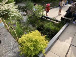 生物多様性を高めるまちづくりは可能か？ 