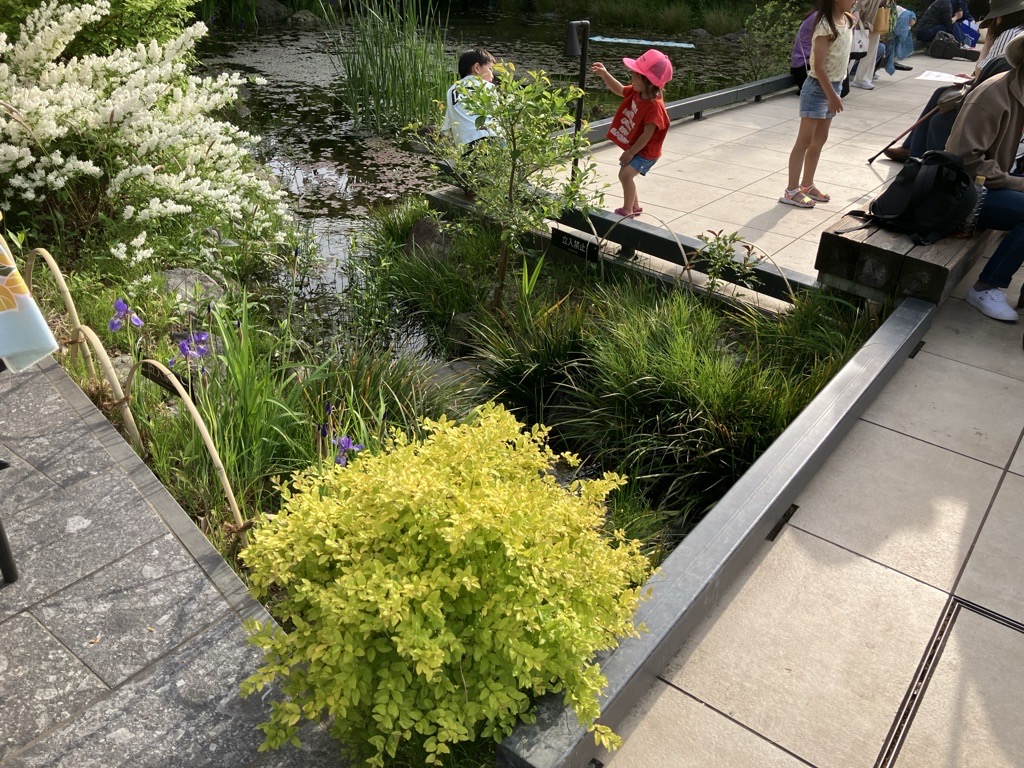 生物多様性を高めるまちづくりは可能か？ 