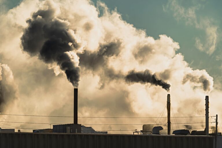 残念なカーボンオフセットの効果