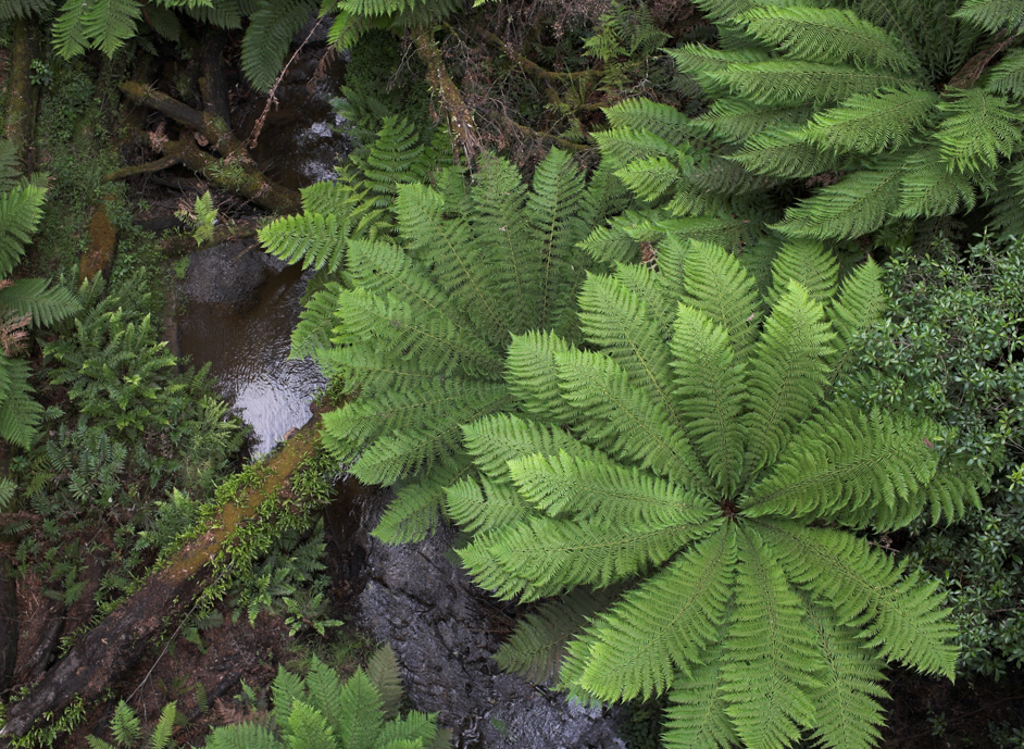 Top level principles for business-relevant biodiversity assessment