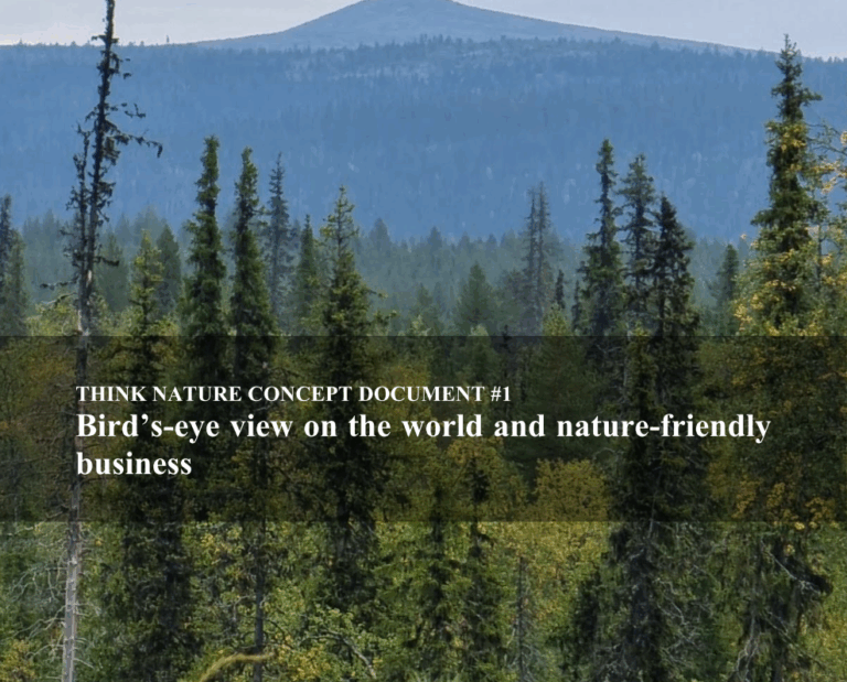 1 Bird’s-eye view on the world and nature-friendly business