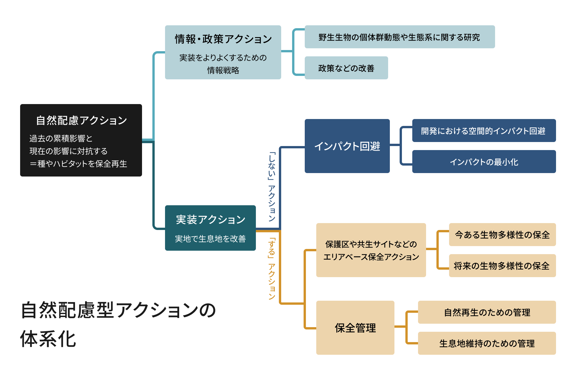 自然配慮型アクションの体系化