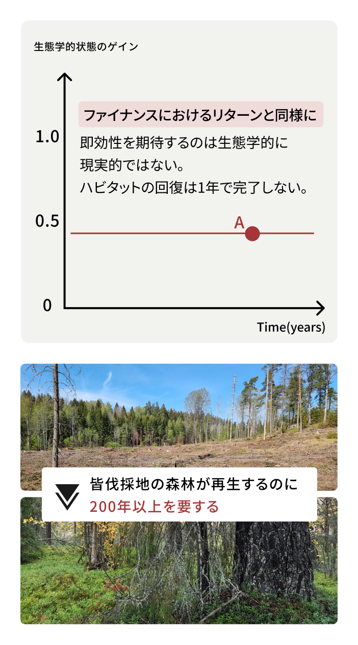 皆伐採地の森林が再生するのに200年以上を要する