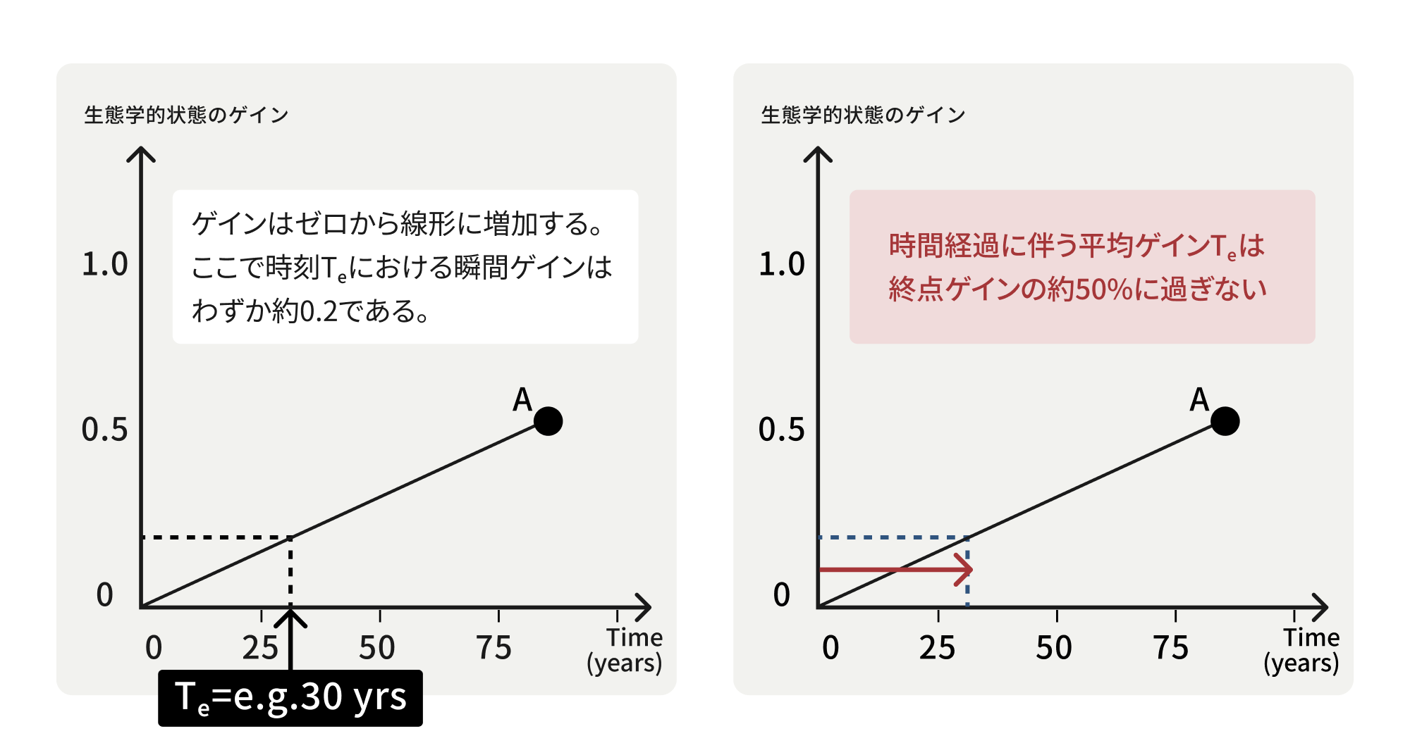 時間経過に伴う平均ゲインTe​は終点ゲインの約50%に過ぎない