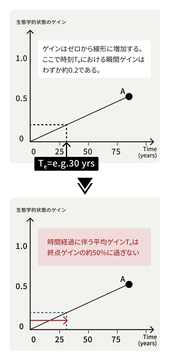 時間経過に伴う平均ゲインTe​は終点ゲインの約50%に過ぎない