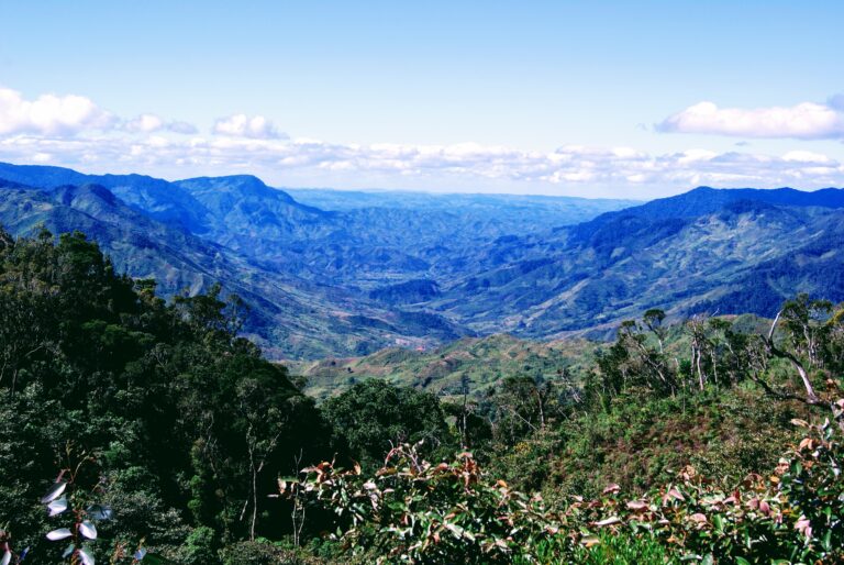 保護中: フィンランド大使館におけるアッテ・モイラネン博士の講演：Biodiversity credits and offsets: on design, success, and failure