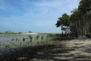 金融機関による生物多様性指標の活用についての考察