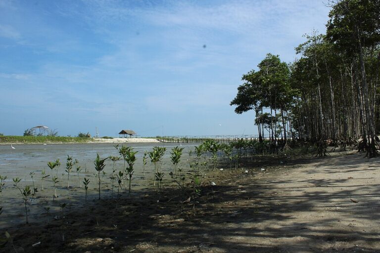 金融機関による生物多様性指標の活用についての考察